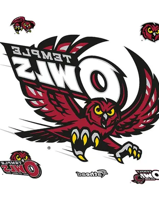 Temple Owls Baseball event