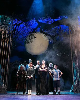The Addams Family Musical show
