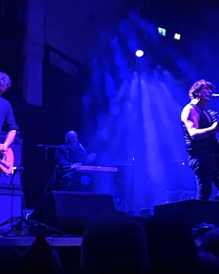 Chameleons Alternative concert