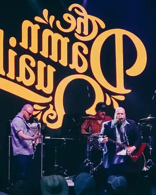 The Damn Quails Country concert