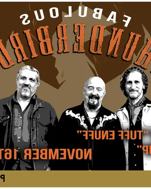 The Fabulous Thunderbirds Pop concert