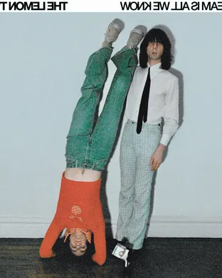 The Lemon Twigs Alternative concert