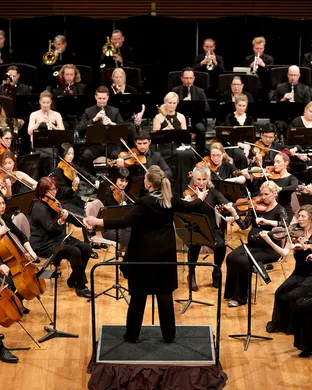 The Orchestra Pop concert
