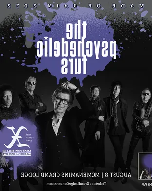 The Psychedelic Furs Alternative concert