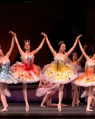 The Sleeping Beauty - Ballet Alternative concert