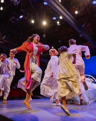 The Sound Of Music Musical show