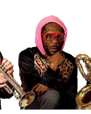 Too Many Zooz