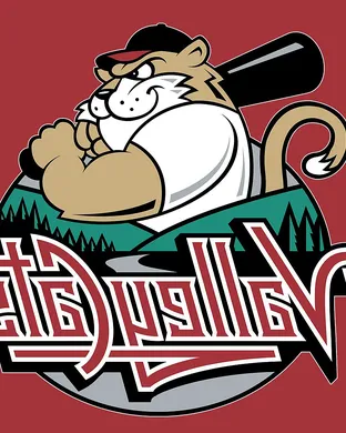 Tri-City ValleyCats Baseball event