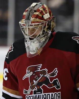 Tucson Roadrunners Hockey event