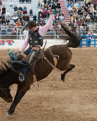 Tucson Rodeo Rodeo event