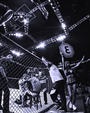 UFC Fight Night Mixed event
