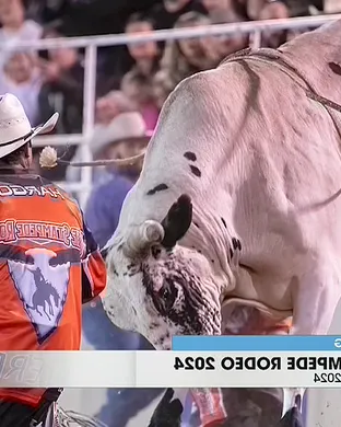 UTE Stampede Rodeo Rodeo event