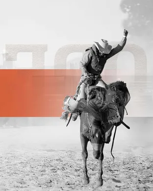Valley View Rodeo Rodeo event