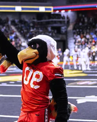 Vegas Knight Hawks Football event