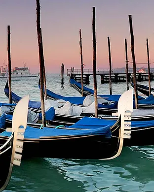 Venice Festival concert