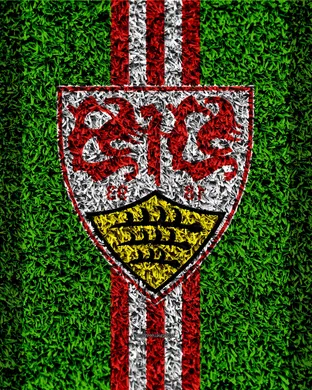 VfB Stuttgart Soccer event