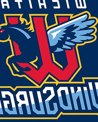 Wichita Wind Surge Baseball event