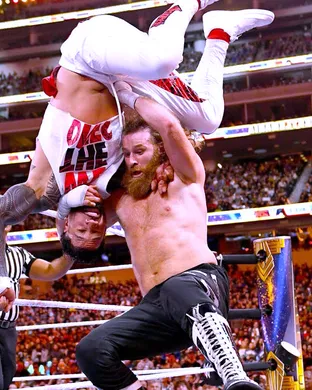 WrestleMania Other concert
