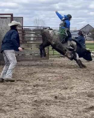 Xtreme Bulls Rodeo event