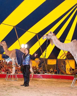 Zerbini Family Circus Circus concert