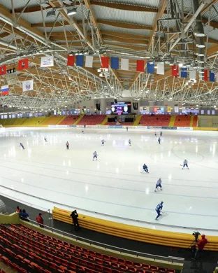 Scott Hamilton And Friends Skating event