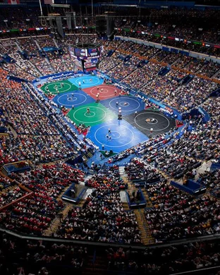 CHSAA State Wrestling Wrestling event